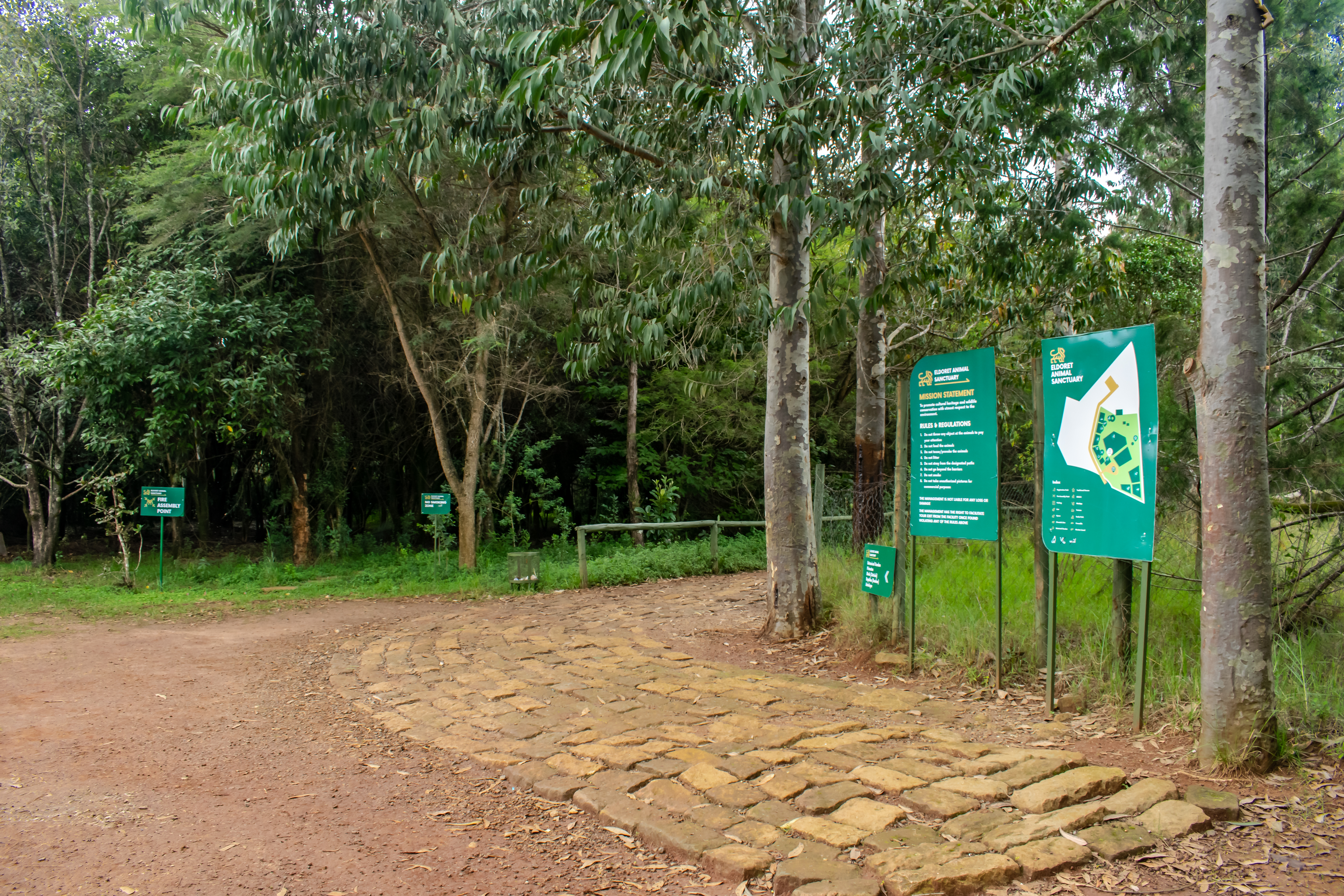 Eldoret Animal Sanctuary