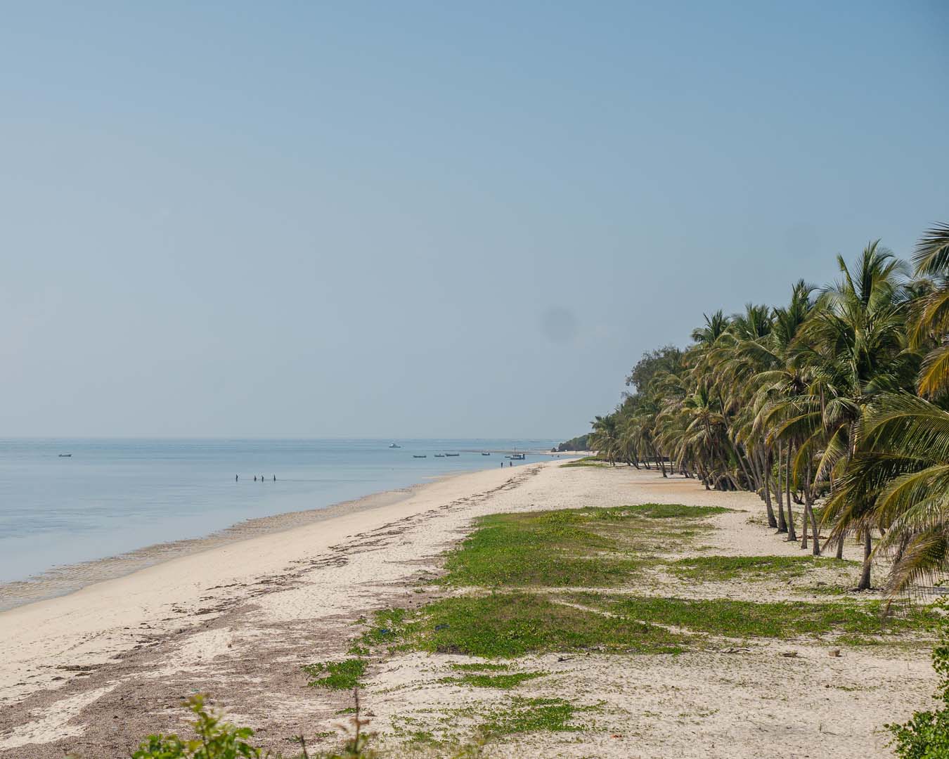 Tiwi Beach and Indigenous Forests